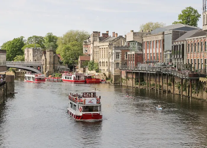 Windsor Jay * ヨーク